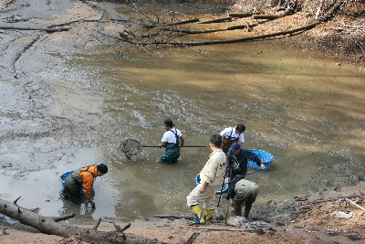 20111016 007-400.jpg